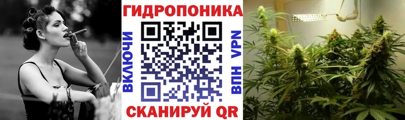 Наркота Будённовск KRAKEN ССЫЛКА  Меф мяу мяу  APVP  Метадон  ГАШИШ  Каннабис 