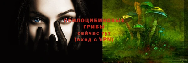 стафф Ахтубинск