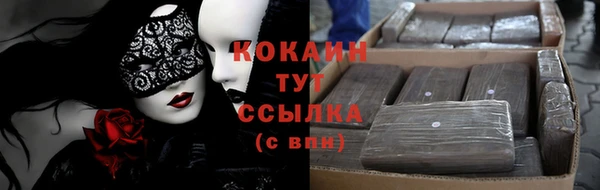 прущие грибы Белокуриха