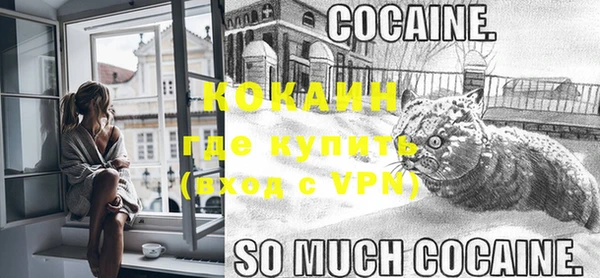 COCAINE Богородицк